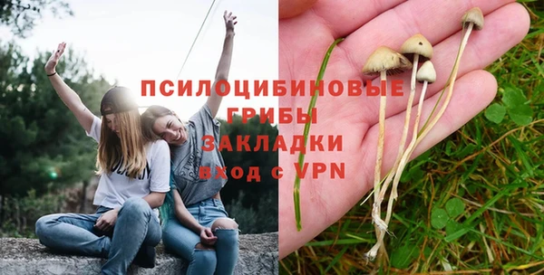 мескалин Баксан