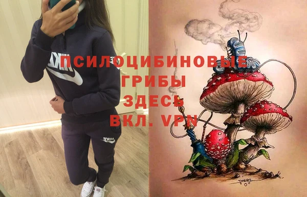 мескалин Баксан